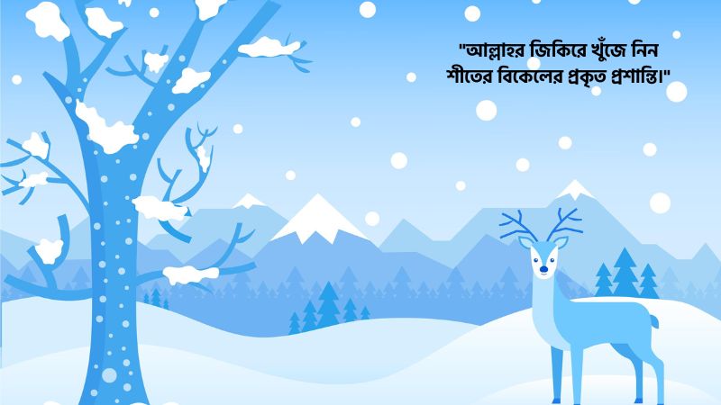শীতের বিকেল নিয়ে ইসলামিক উক্তি