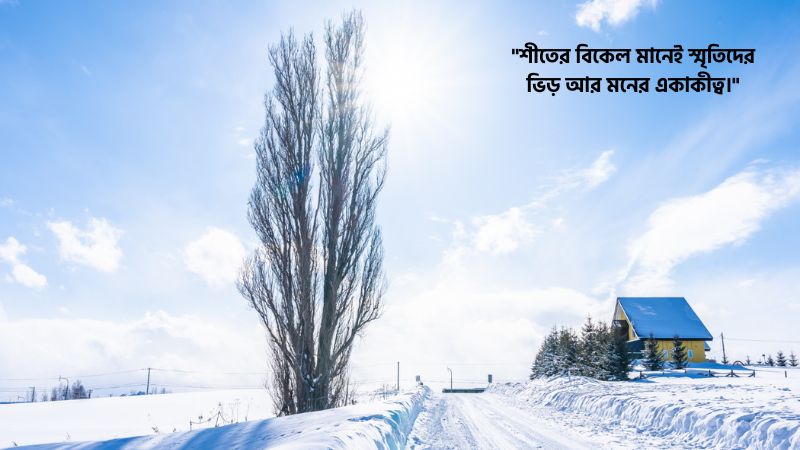 শীতের বিকেল নিয়ে উক্তি