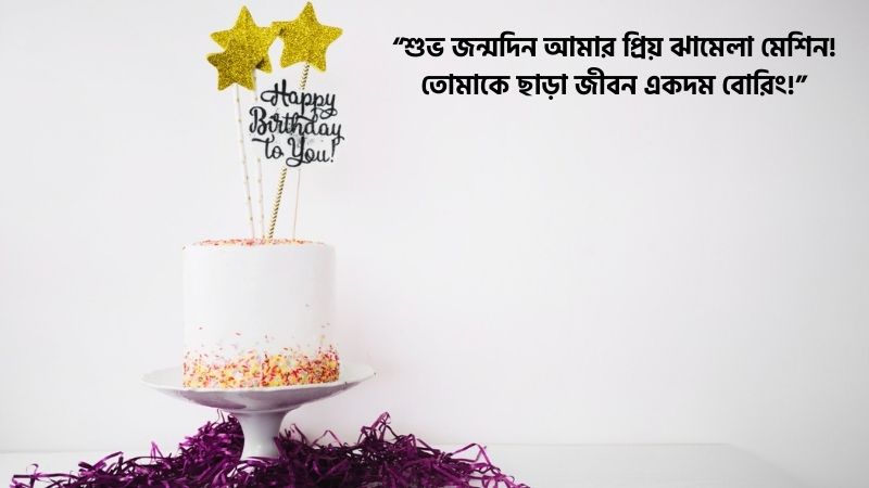 ভাগিনার জন্মদিনের শুভেচ্ছা ফানি মেসেজ