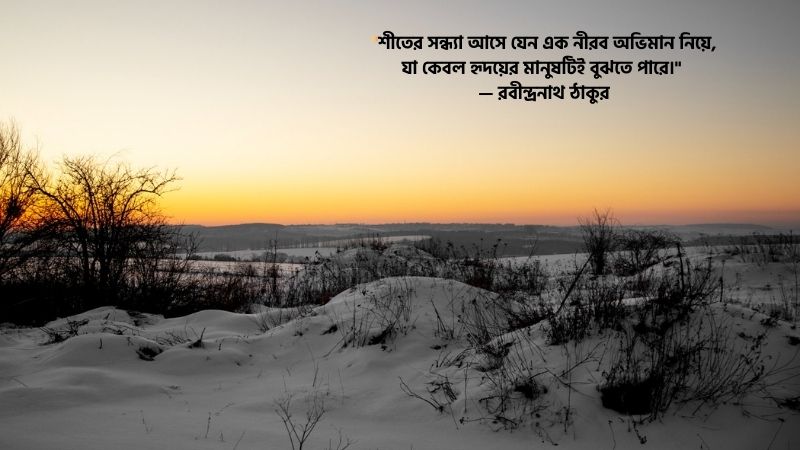 শীতের সন্ধ্যা নিয়ে উক্তি