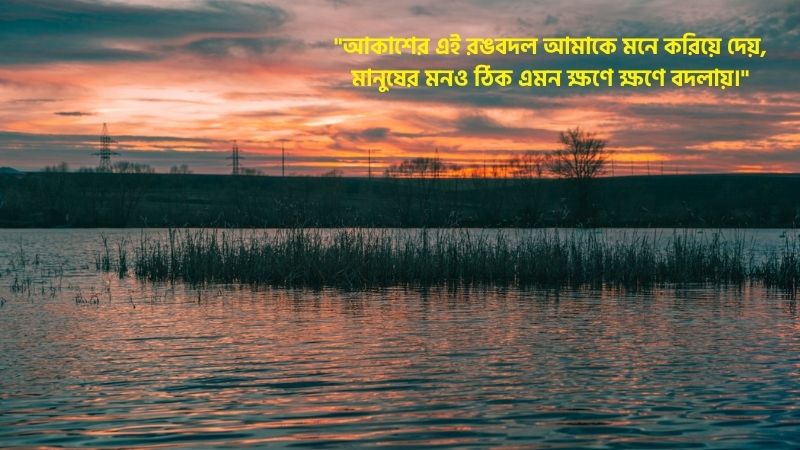 গোধূলি বিকেল নিয়ে উক্তি