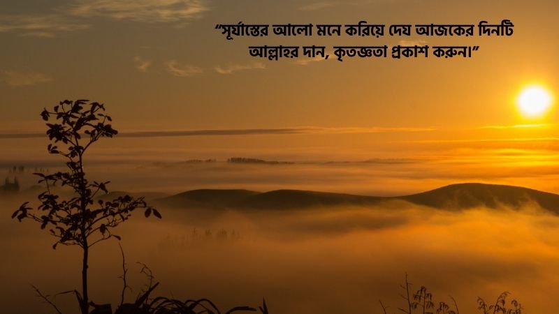 পরন্ত বিকেল নিয়ে ইসলামিক স্ট্যাটাস