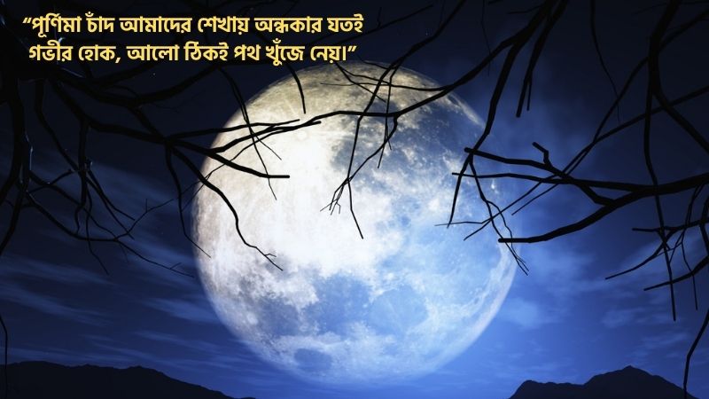 পূর্ণিমা চাঁদ নিয়ে উক্তি