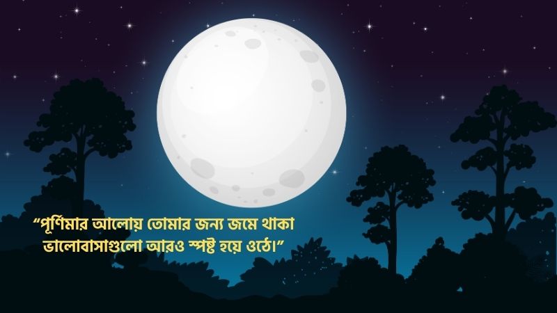পূর্ণিমা চাঁদ নিয়ে রোমান্টিক স্ট্যাটাস