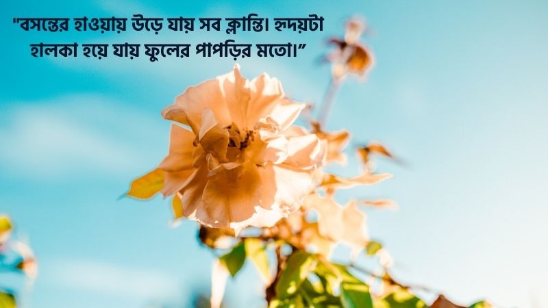 বসন্ত নিয়ে ক্যাপশন
