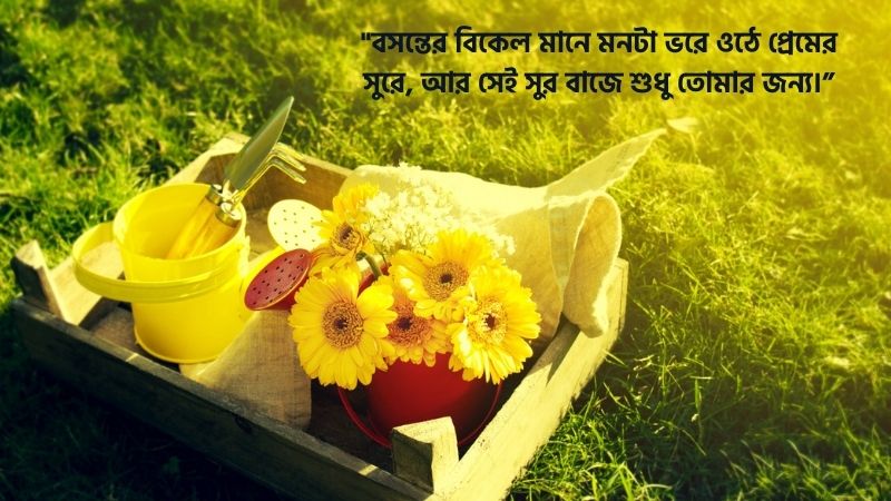 বসন্ত বিকেল নিয়ে রোমান্টিক মেসেজ