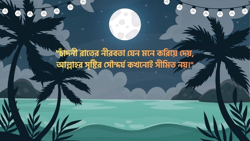 চাঁদনী রাত নিয়ে ইসলামিক স্ট্যাটাস