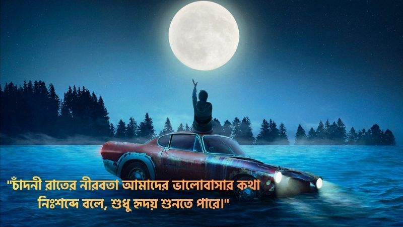 চাঁদনী রাত নিয়ে স্ট্যাটাস