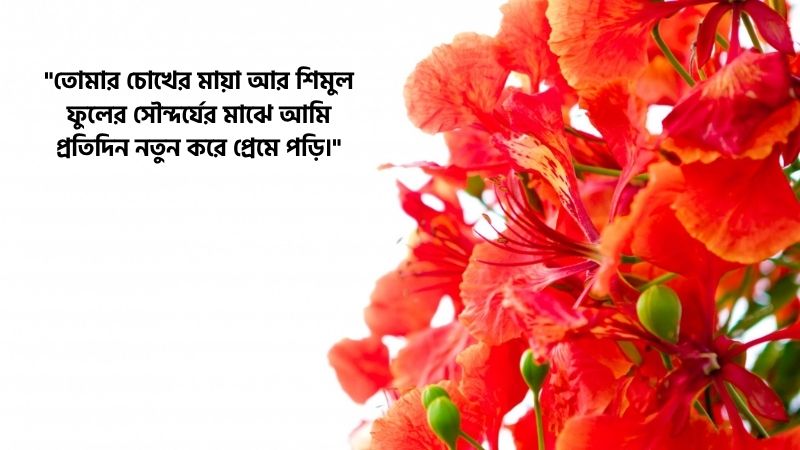 শিমুল ফুল নিয়ে রোমান্টিক ক্যাপশন
