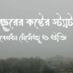 নতুন বছরের কষ্টের স্ট্যাটাস, আবেগঘন মেসেজ ও উক্তি
