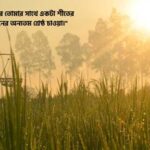 শীতের বিকেল নিয়ে ক্যাপশন