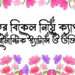 শীতের বিকেল নিয়ে ক্যাপশন, রোমান্টিক স্ট্যাটাস ও উক্তি
