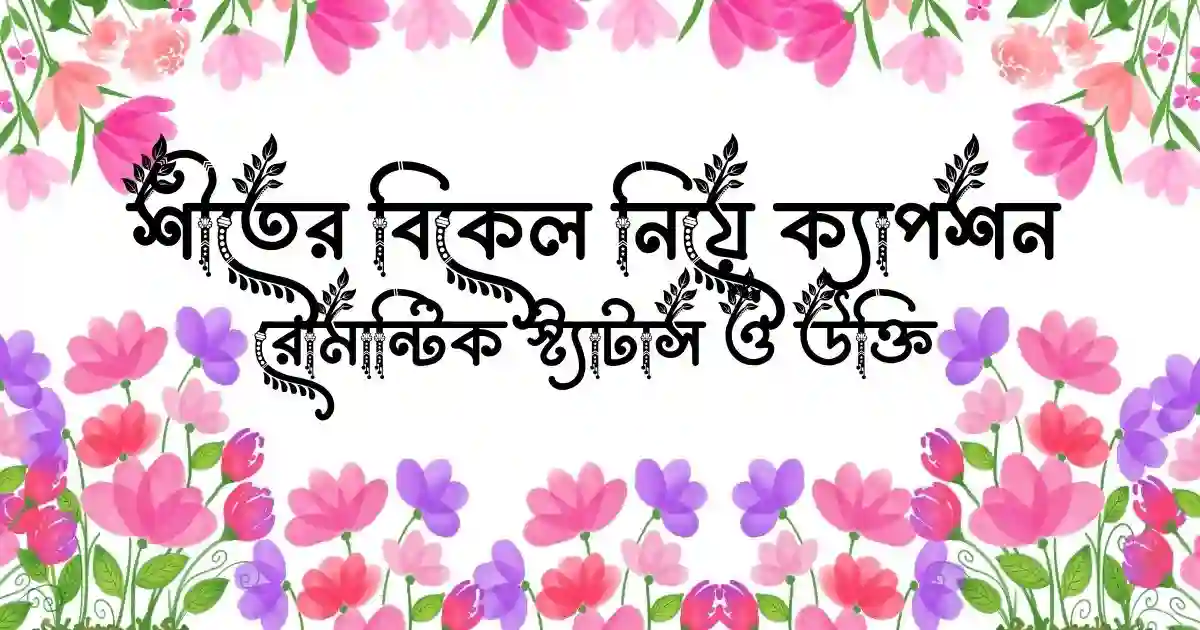 শীতের বিকেল নিয়ে ক্যাপশন, রোমান্টিক স্ট্যাটাস ও উক্তি