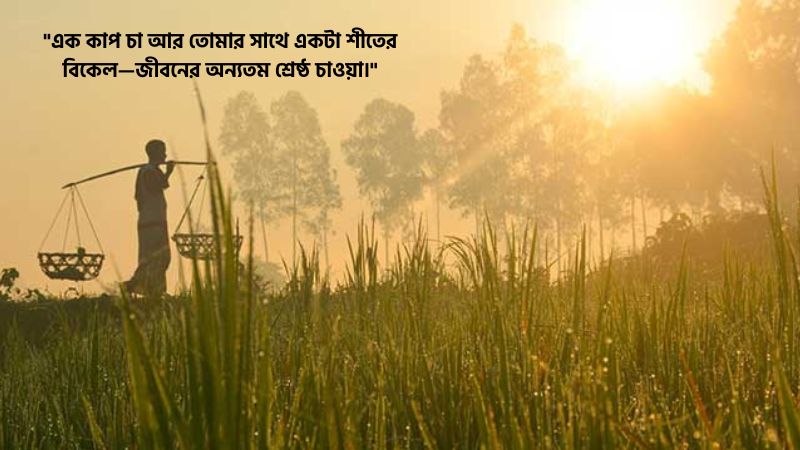 শীতের বিকেল নিয়ে ক্যাপশন