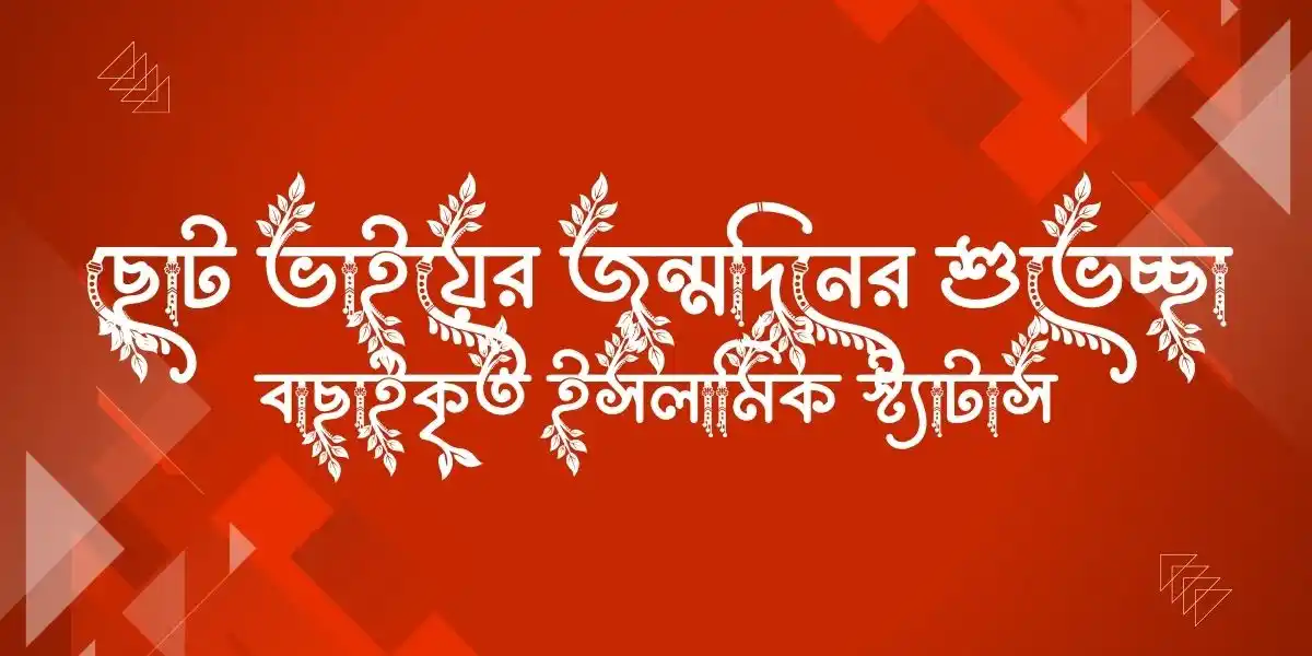 ছোট ভাইয়ের জন্মদিনের শুভেচ্ছা ও বাছাইকৃত ইসলামিক স্ট্যাটাস