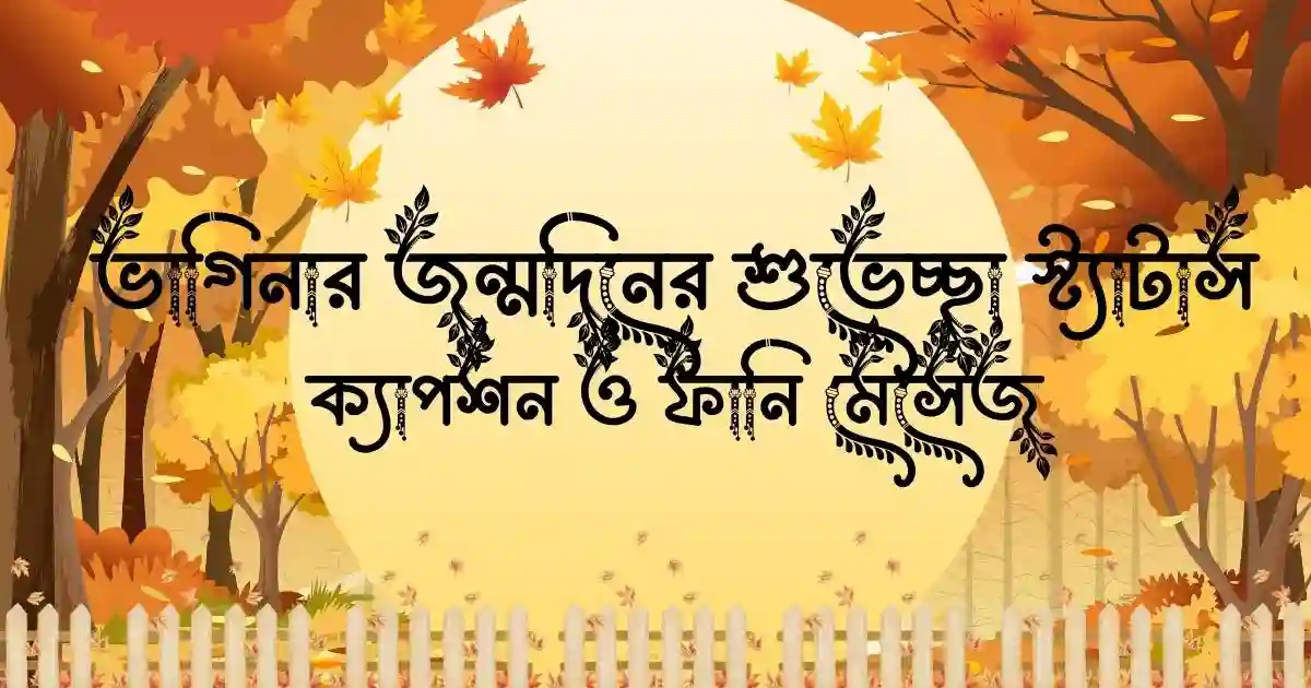 ভাগিনার জন্মদিনের শুভেচ্ছা স্ট্যাটাস, ক্যাপশন ও ফানি মেসেজ
