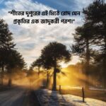 শীতের দুপুর নিয়ে ক্যাপশন