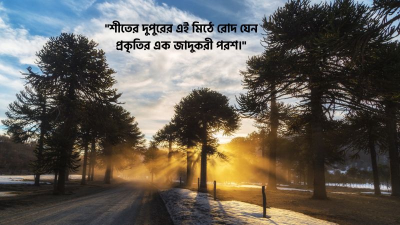 শীতের দুপুর নিয়ে ক্যাপশন