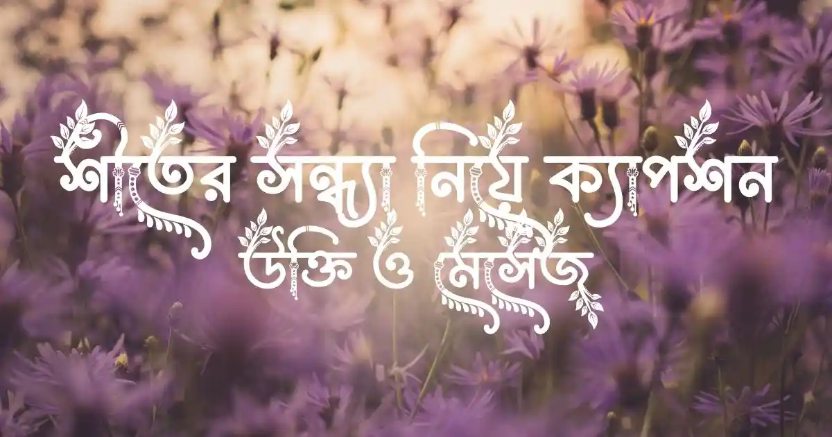 শীতের সন্ধ্যা নিয়ে ক্যাপশন, উক্তি ও মেসেজ