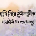 শুভ রাত্রি নিয়ে ইসলামিক উক্তি, স্ট্যাটাস ও শুভেচ্ছা
