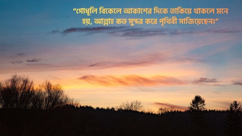 গোধূলি বিকেল নিয়ে ক্যাপশন