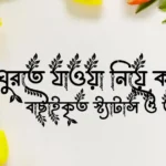 ঘুরতে যাওয়া নিয়ে ক্যাপশন, বাছাইকৃত স্ট্যাটাস ও উক্তি