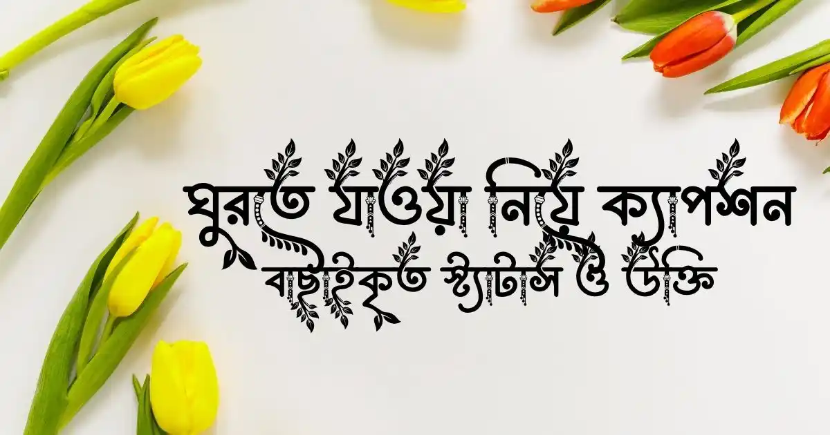 ঘুরতে যাওয়া নিয়ে ক্যাপশন, বাছাইকৃত স্ট্যাটাস ও উক্তি