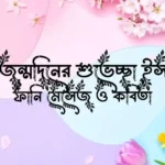 ছেলের জন্মদিনের শুভেচ্ছা ইসলামিক, ফানি মেসেজ ও কবিতা
