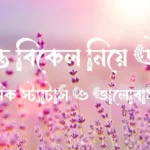 পরন্ত বিকেল নিয়ে উক্তি, ইসলামিক স্ট্যাটাস ও ভালোবাসার ছন্দ