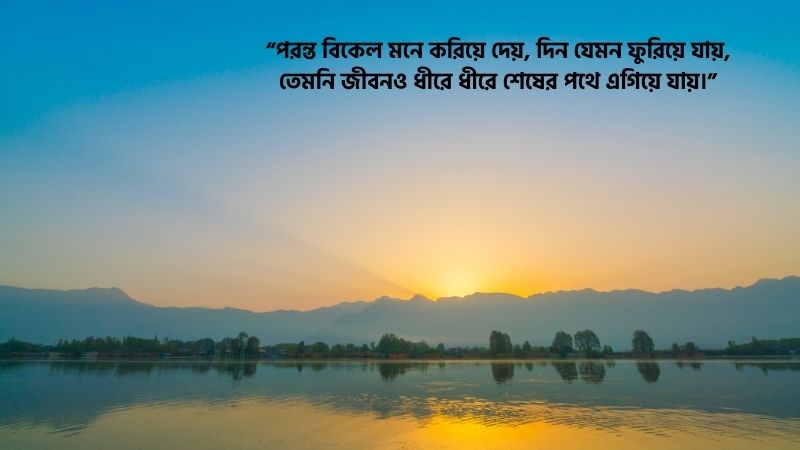 পরন্ত বিকেল নিয়ে উক্তি