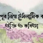 শুভ দুপুর নিয়ে ইসলামিক ক্যাপশন, উক্তি ও কবিতা
