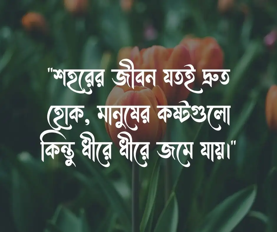 ব্যস্ত শহর নিয়ে উক্তি