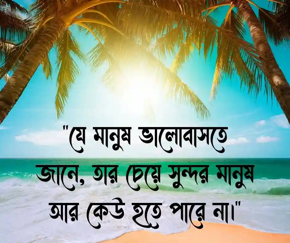 সৌন্দর্য নিয়ে স্ট্যাটাস