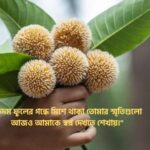 কদম ফুল নিয়ে রোমান্টিক স্ট্যাটাস
