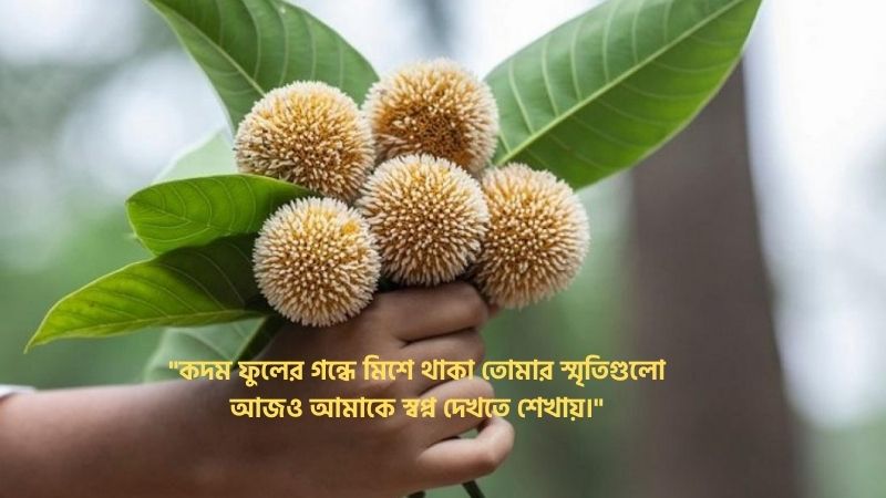 কদম ফুল নিয়ে রোমান্টিক স্ট্যাটাস