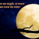 চাঁদনী রাত নিয়ে ক্যাপশন