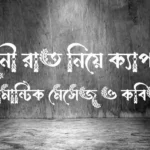 চাঁদনী রাত নিয়ে ক্যাপশন, রোমান্টিক মেসেজ ও কবিতা