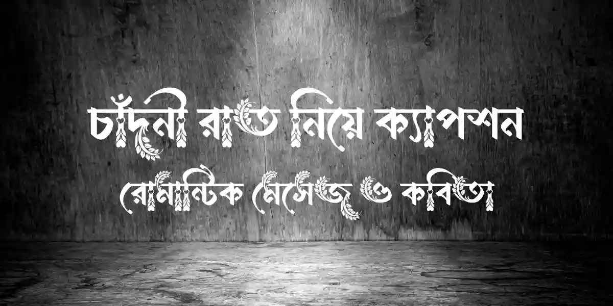 চাঁদনী রাত নিয়ে ক্যাপশন, রোমান্টিক মেসেজ ও কবিতা