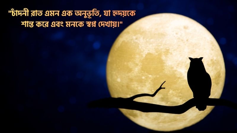 চাঁদনী রাত নিয়ে ক্যাপশন