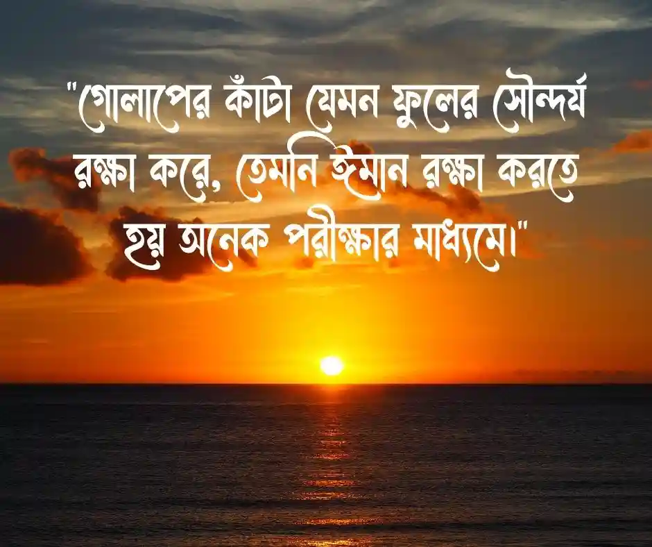 গোলাপ ফুল নিয়ে ইসলামিক ক্যাপশন