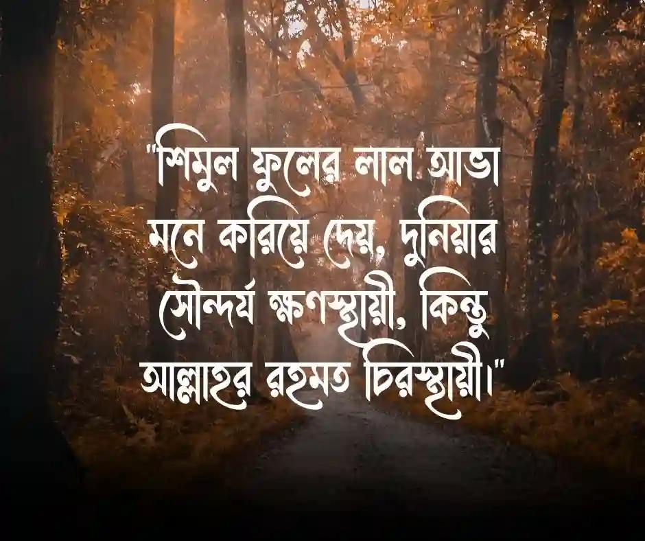 শিমুল ফুল নিয়ে ইসলামিক স্ট্যাটাস