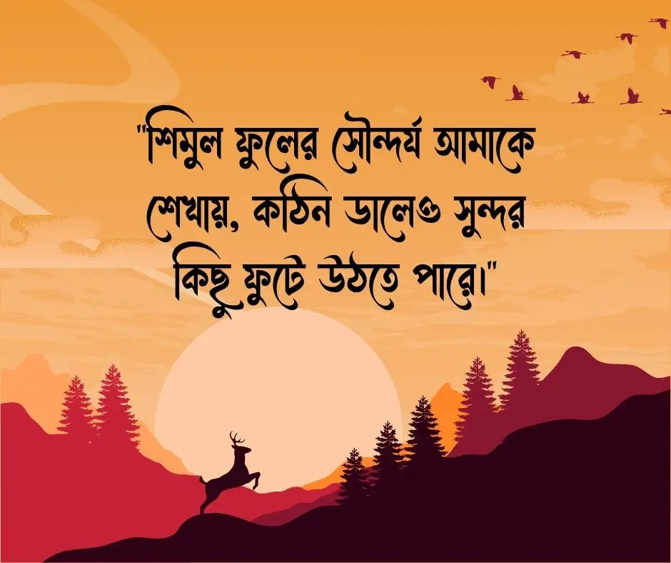 শিমুল ফুল নিয়ে স্ট্যাটাস