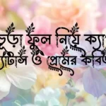 কৃষ্ণচূড়া ফুল নিয়ে ক্যাপশন, স্ট্যাটাস ও প্রেমের কবিতা