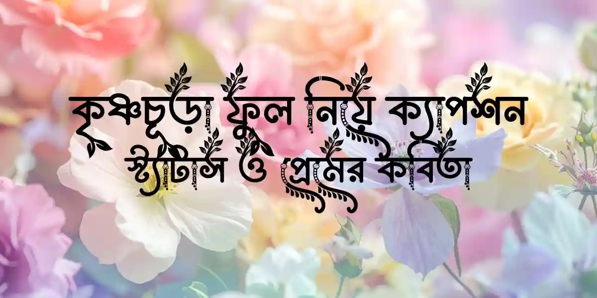 কৃষ্ণচূড়া ফুল নিয়ে ক্যাপশন, স্ট্যাটাস ও প্রেমের কবিতা