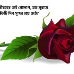 গোলাপ ফুল নিয়ে রোমান্টিক ক্যাপশন