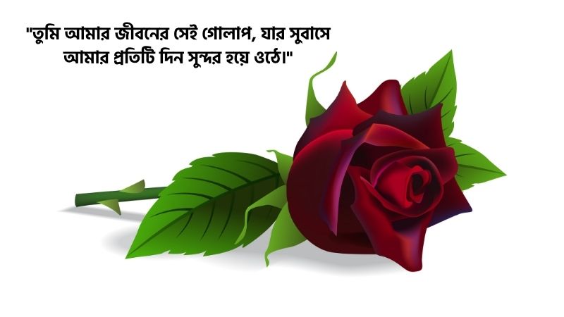 গোলাপ ফুল নিয়ে রোমান্টিক ক্যাপশন