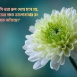চন্দ্রমল্লিকা ফুল নিয়ে ক্যাপশন