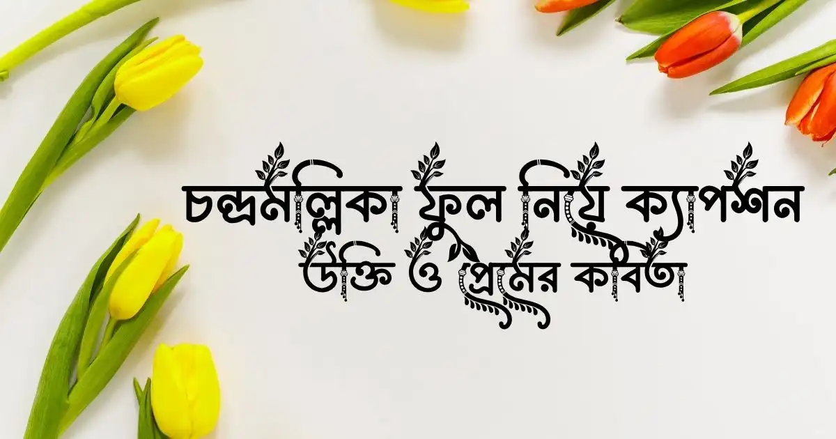 চন্দ্রমল্লিকা ফুল নিয়ে ক্যাপশন, উক্তি ও প্রেমের কবিতা