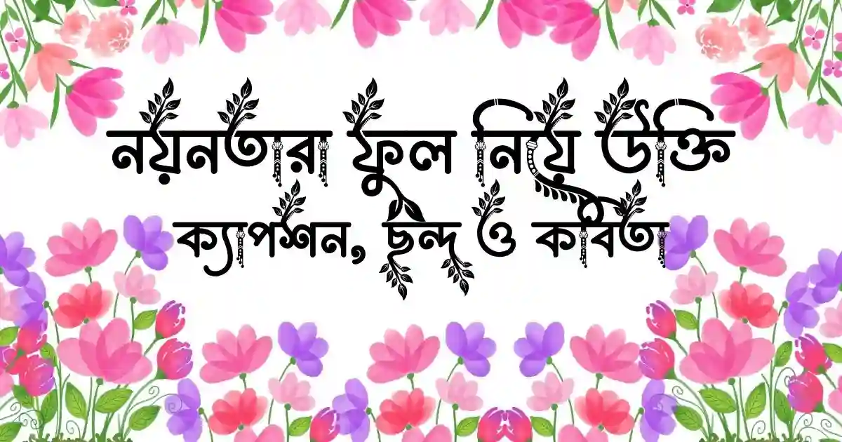 নয়নতারা ফুল নিয়ে উক্তি, ক্যাপশন, ছন্দ ও কবিতা