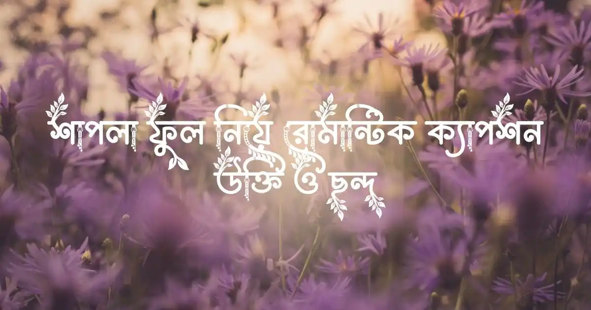 শাপলা ফুল নিয়ে রোমান্টিক ক্যাপশন, উক্তি ও ছন্দ